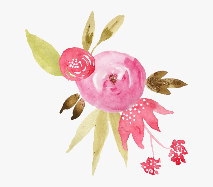 中国风荷花水彩画 - Rose, HD Png Download