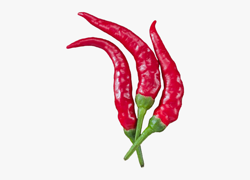 Chili Pepper, HD Png Download