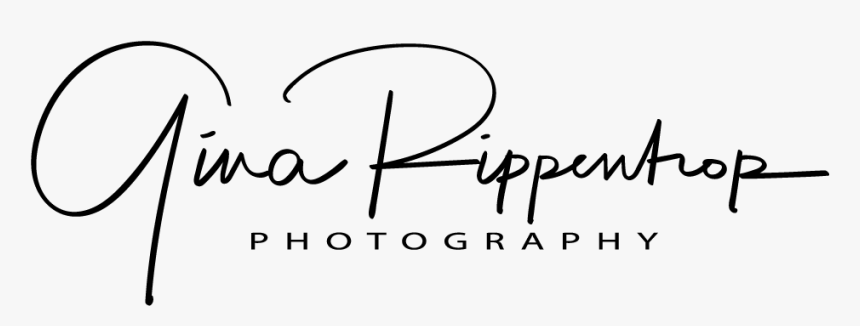 Gina Rippentrop Photography - Calligraphy, HD Png Download