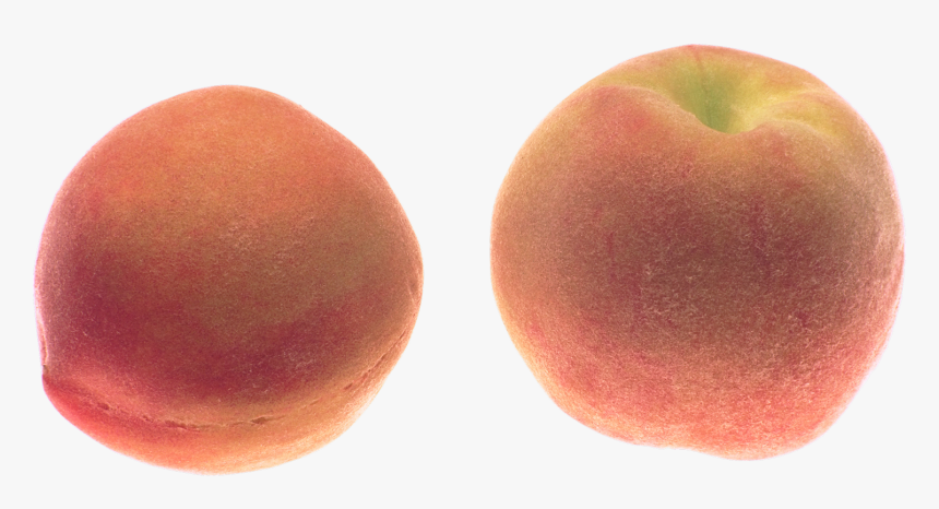 Download Transparent Png Peach- - Portable Network Graphics, Png Download