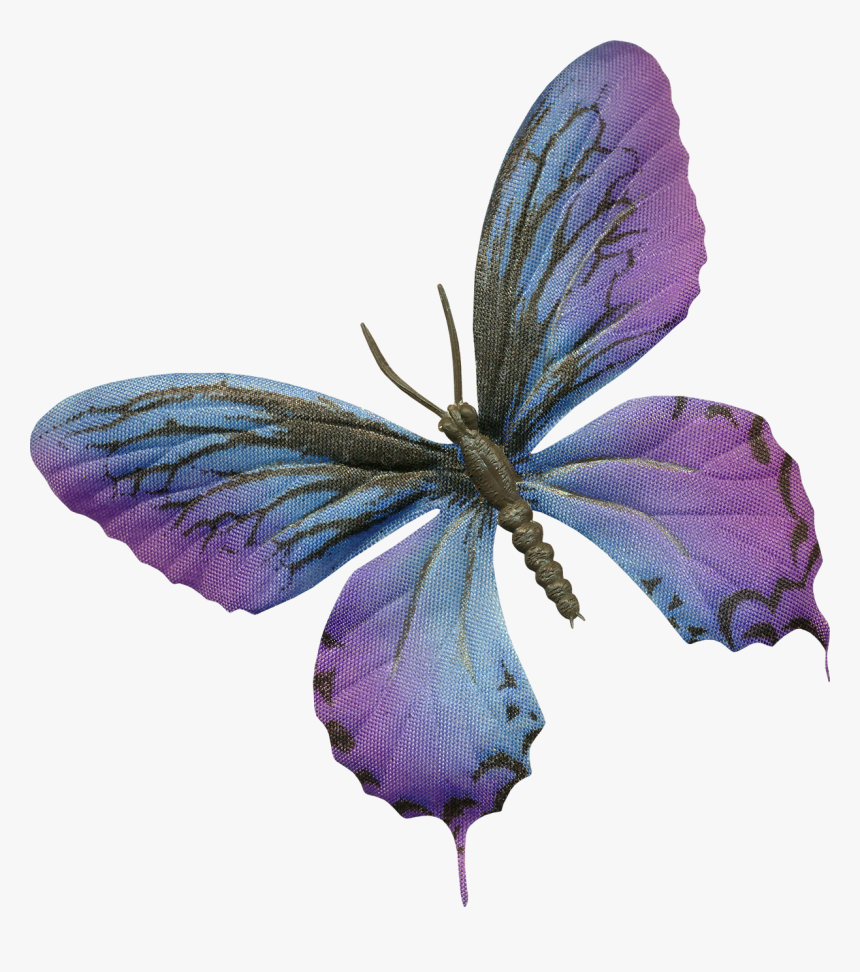 Lepidoptera, HD Png Download