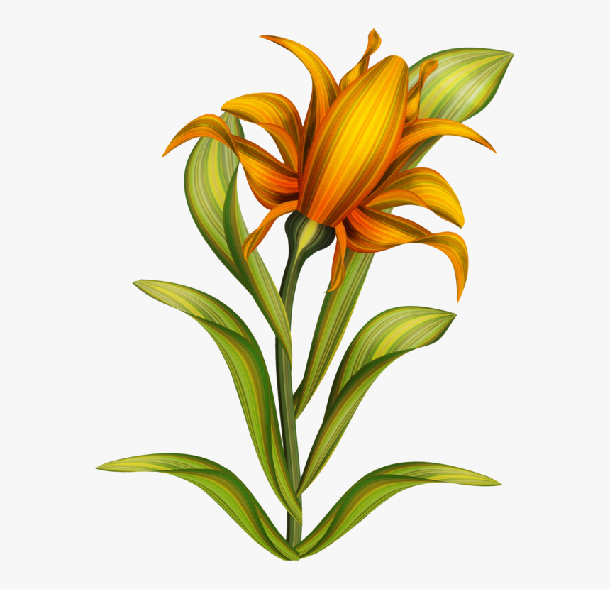 Plant,flower,petal - زهور عملاقة كليب ارت, HD Png Download