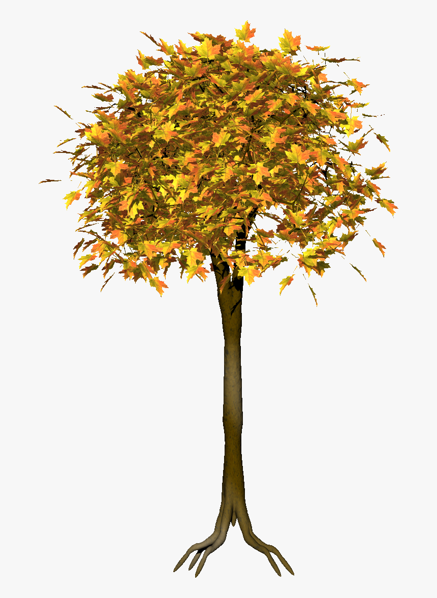 Нарисованное Дерево Пнг, HD Png Download