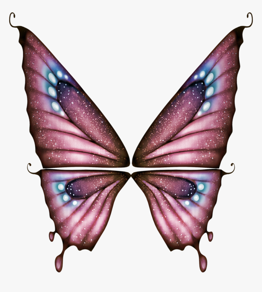 Butterfly Clipart, HD Png Download