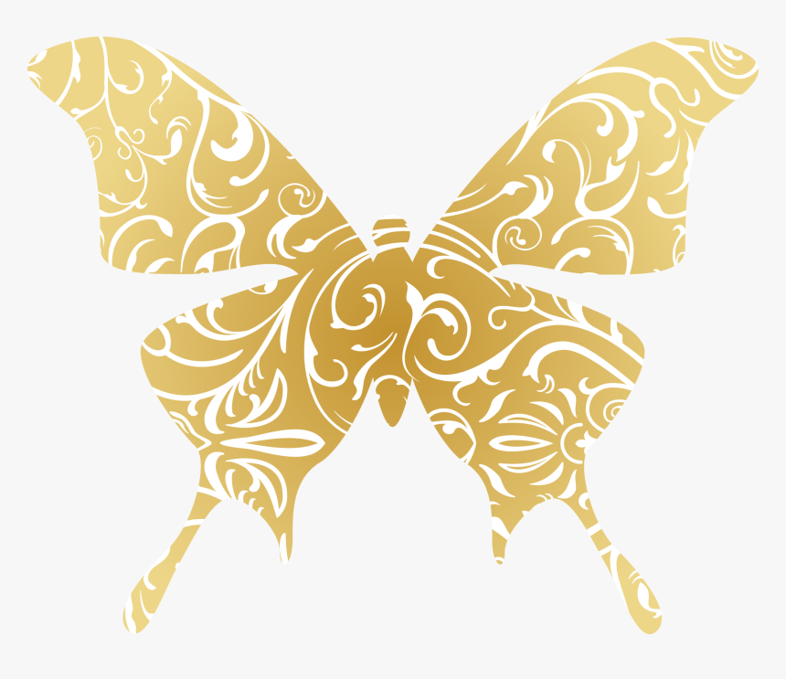 Butterfly Vector, HD Png Download