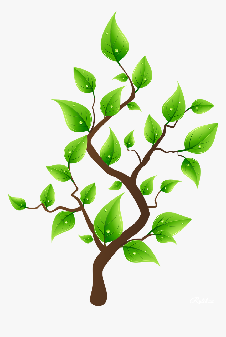 Деревья На Прозрачном Фоне Растровый Клипарт - Arboles Con Hojas Dibujo, HD Png Download