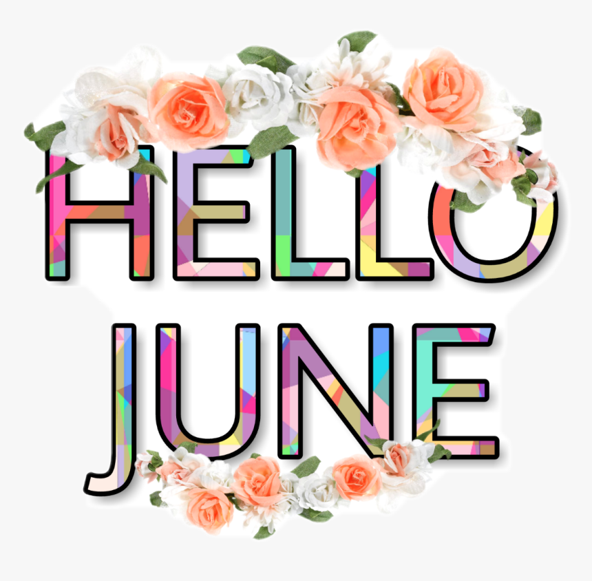 # Hello Junio - Hybrid Tea Rose, HD Png Download