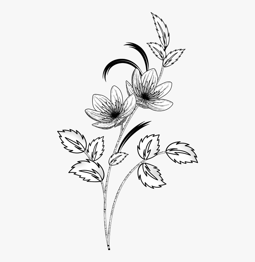 Tiger Lily, HD Png Download