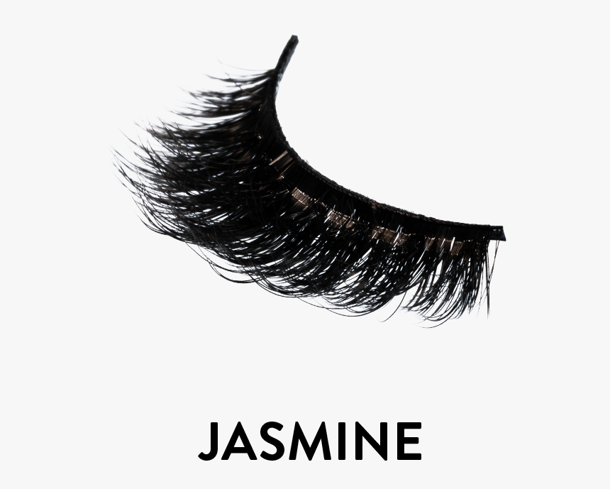 3d Russian Faux Mink - Ownerlistens, HD Png Download