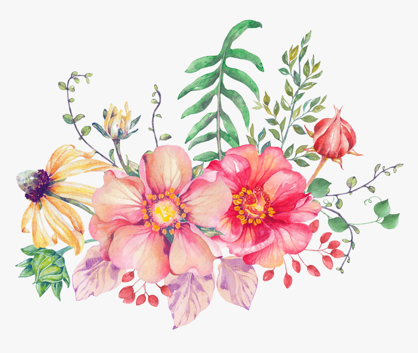 Common Peony, HD Png Download