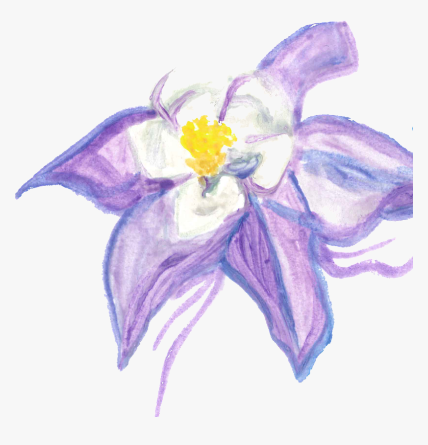 The Little Bear Makes - Lily, HD Png Download