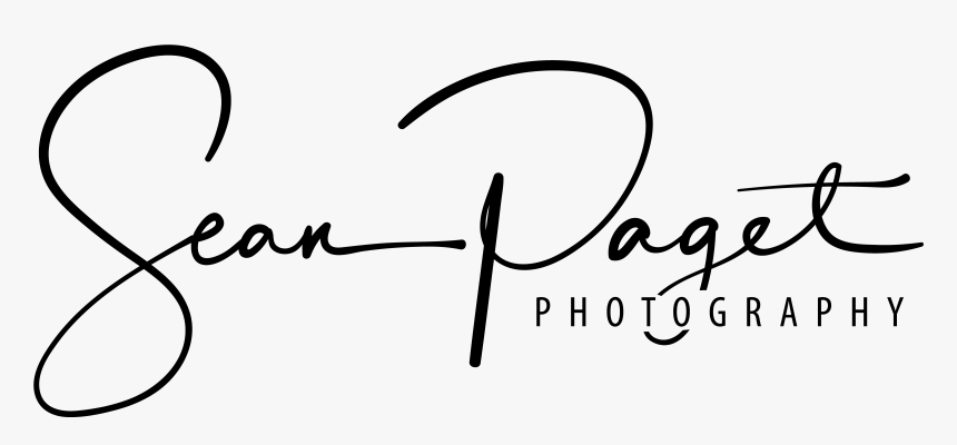 Calligraphy, HD Png Download