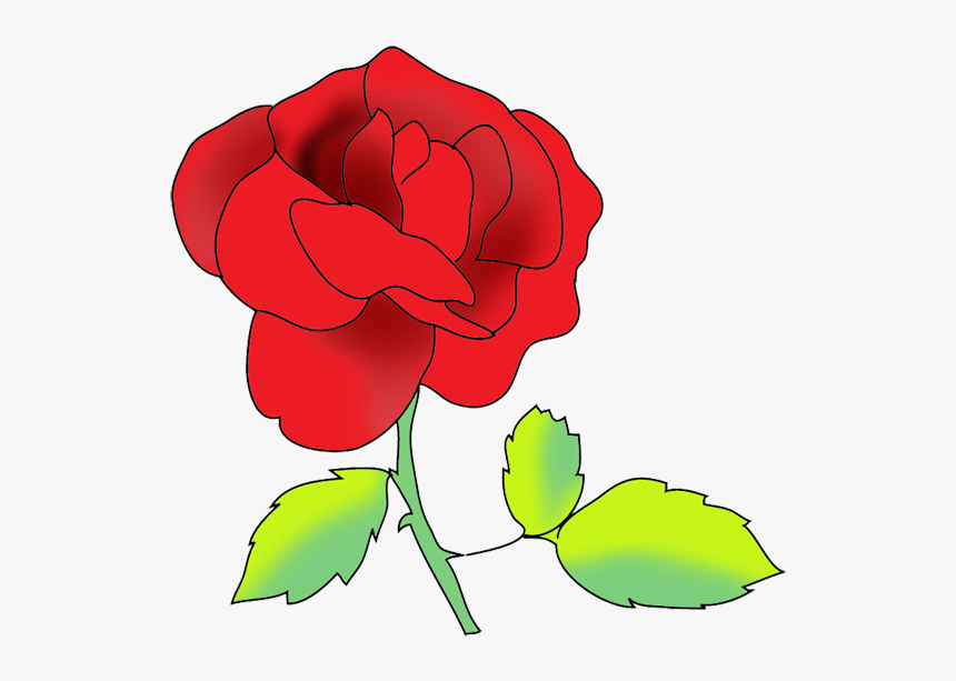 Flower Image Gallery Red Rose - Drawing, HD Png Download