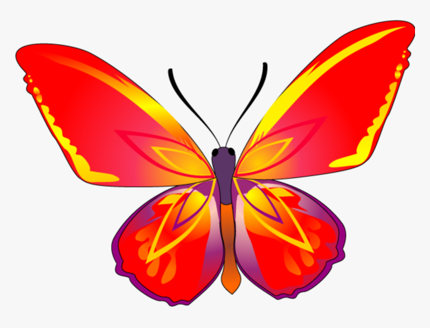 Butterfly - Riodinidae, HD Png Download