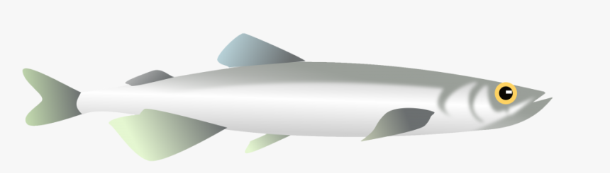 Tiger Shark, HD Png Download