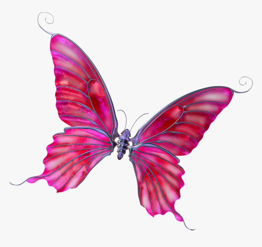 Mariposas De Dibujo Fondo Transparente, HD Png Download