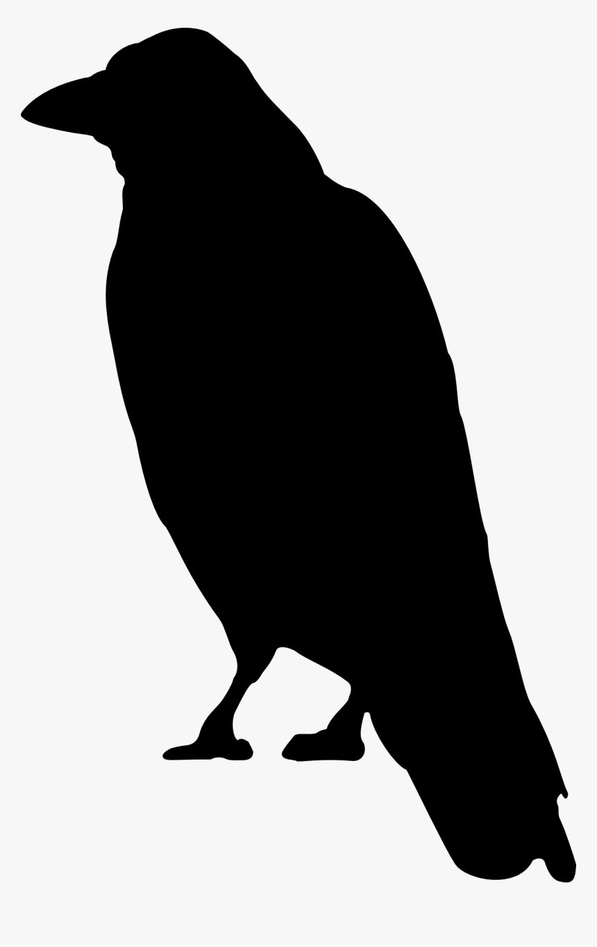 Crows Clip Art - Crow Clip Art, HD Png Download