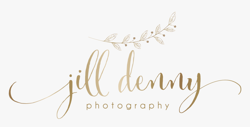 Jill Denny Wedding Family Photographer - Calligraphy, HD Png Download