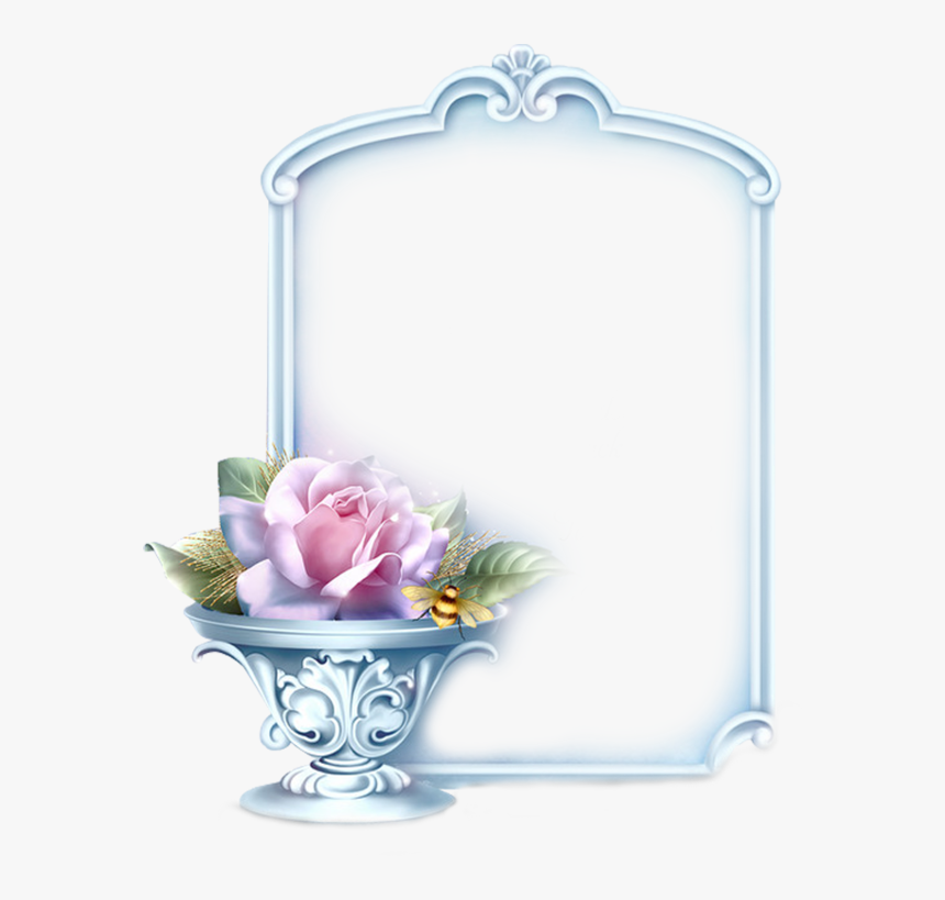 Garden Roses, HD Png Download