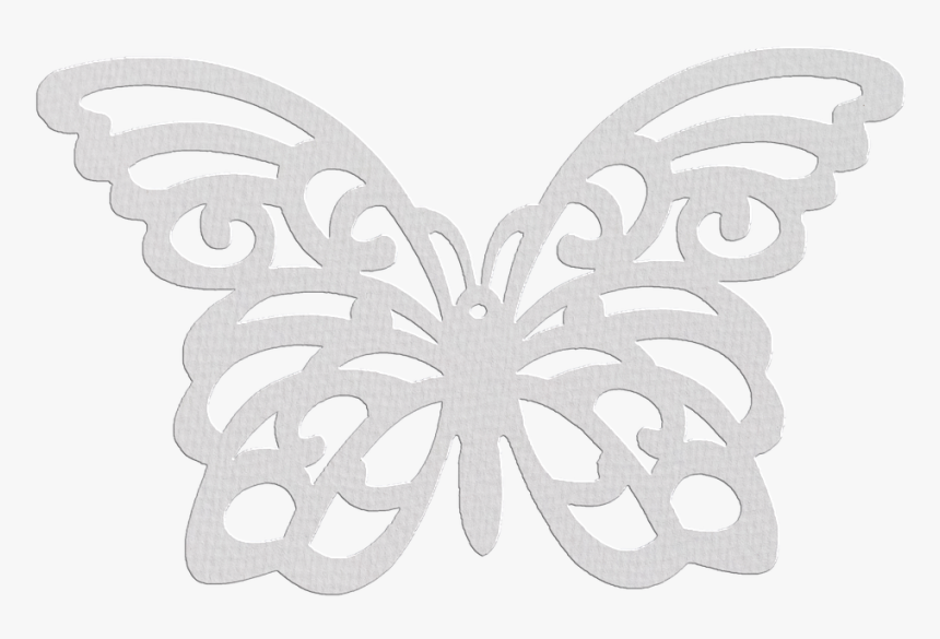 Social Butterfly, HD Png Download