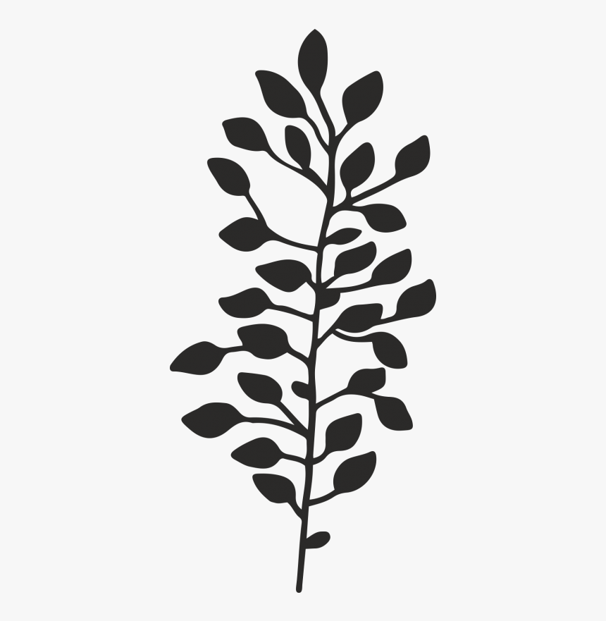 Gambel Oak, HD Png Download