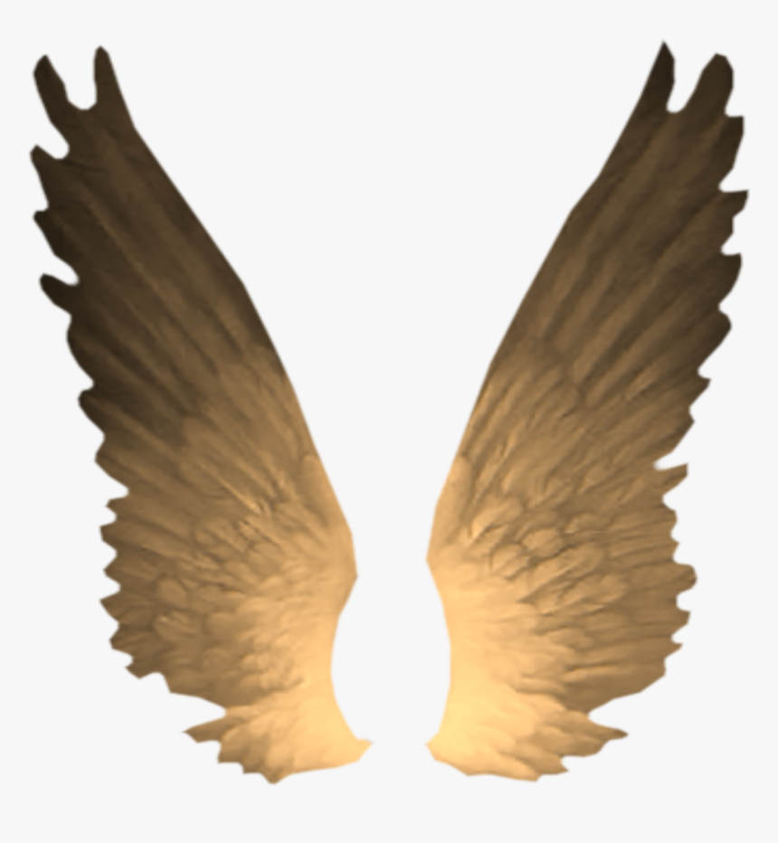 #decoration #decor #angel #wings #angelwings #stickers - Gota Io Icon Png, Transparent Png