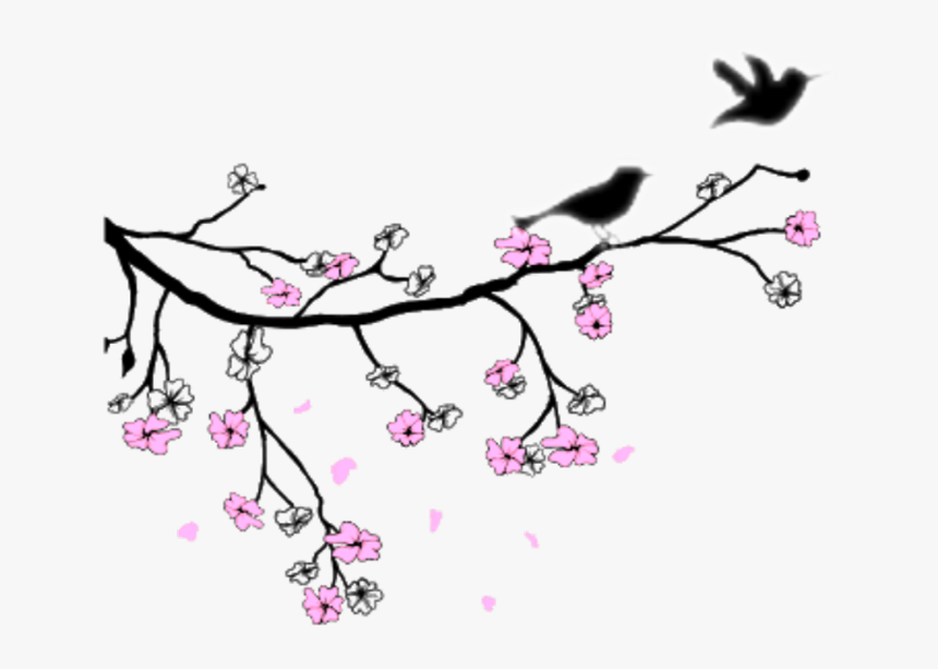 #treebranch #flowers #birds #birdie #lovebirds #swirls - Illustration, HD Png Download