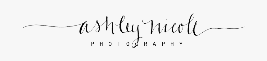 Columbia Sc Photographer - Calligraphy, HD Png Download