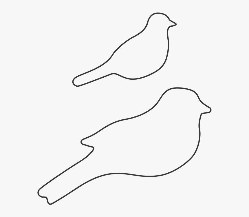 Beautiful Birds Die Outline - Regular Octagon, HD Png Download