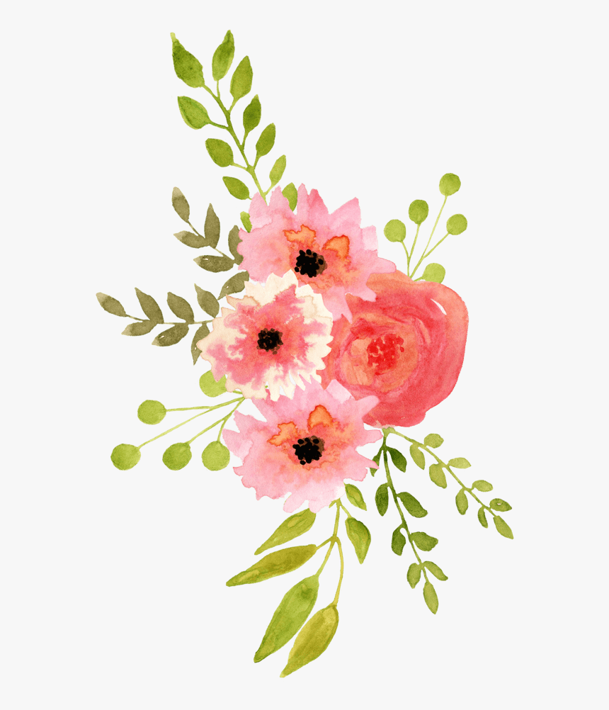 中国风荷花水彩画, HD Png Download