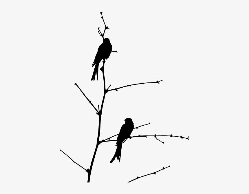 Vinyl Decorative Birds On Branch - 9788425432026, HD Png Download