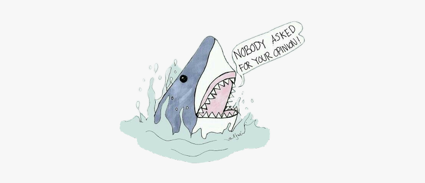 Shark, HD Png Download