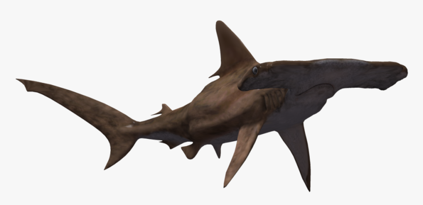 More Like Flag Usa By Ceriseiii - Hammerhead Shark Transparent Background, HD Png Download