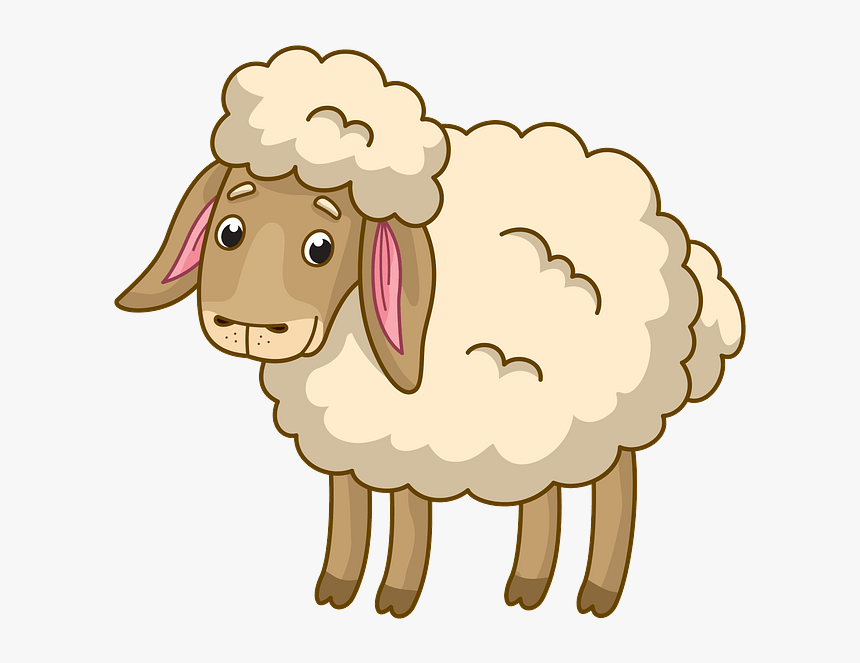 Sheep, HD Png Download