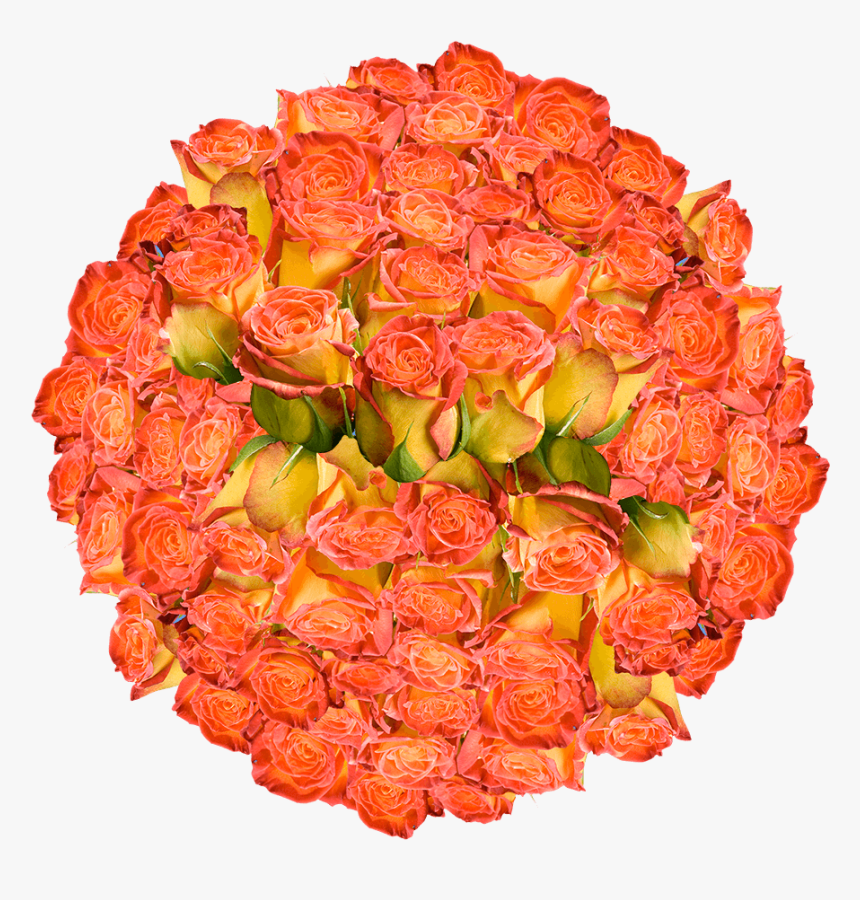 Seedless Fruit, HD Png Download