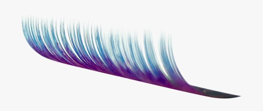 Eyelash Extensions, HD Png Download