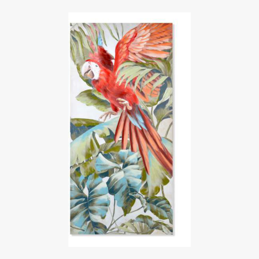 Cuadro De Mujer Con Loro, HD Png Download