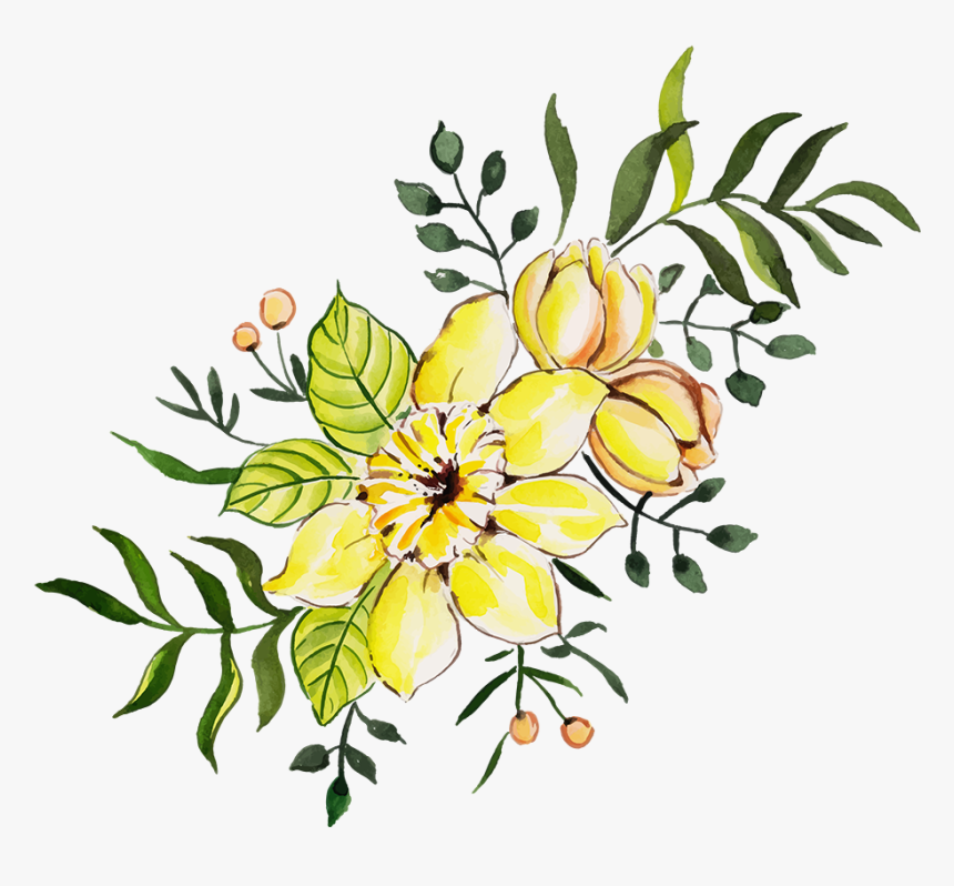 Lily Family, HD Png Download