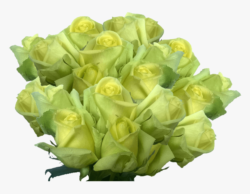 Cheap Light Green Roses Huge Rose Flowers Bouquet Pale, HD Png Download