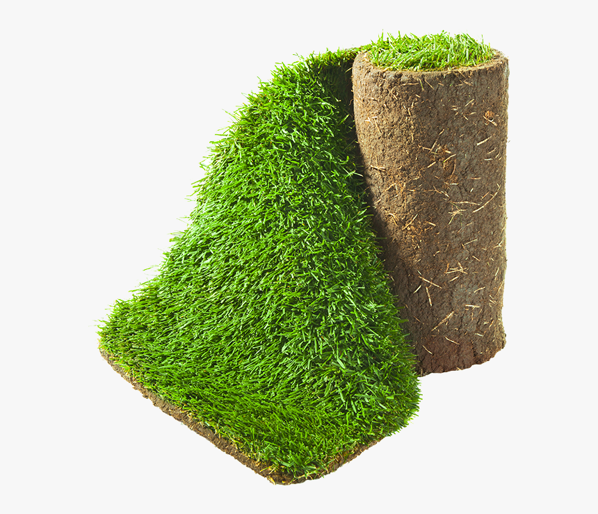 Gazon En Rouleau Aveve, HD Png Download