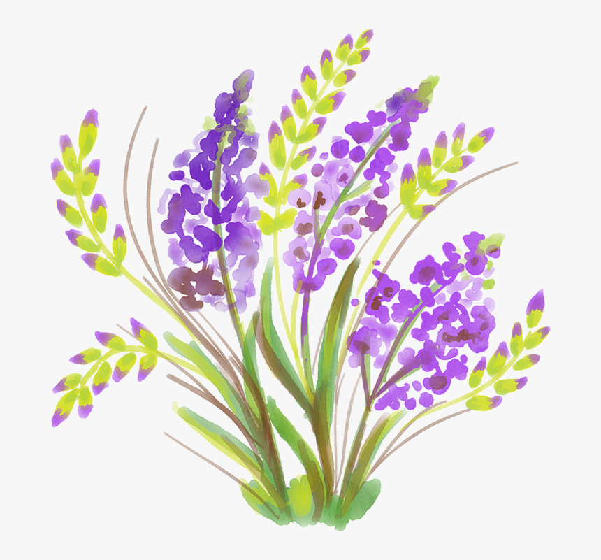 ดอกไม้ สี น้ํา ง่ายๆ, HD Png Download