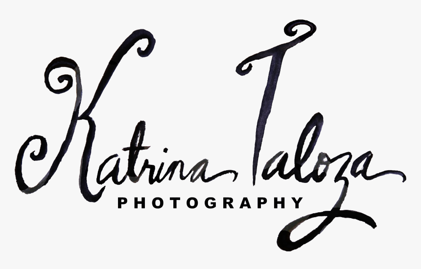 Clip Art A B O U - Calligraphy, HD Png Download