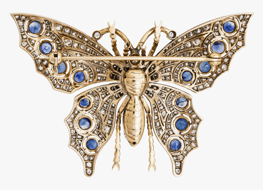 Swallowtail Butterfly, HD Png Download