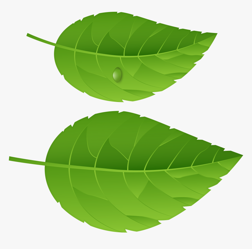 Full Banana Leaf Png, Transparent Png