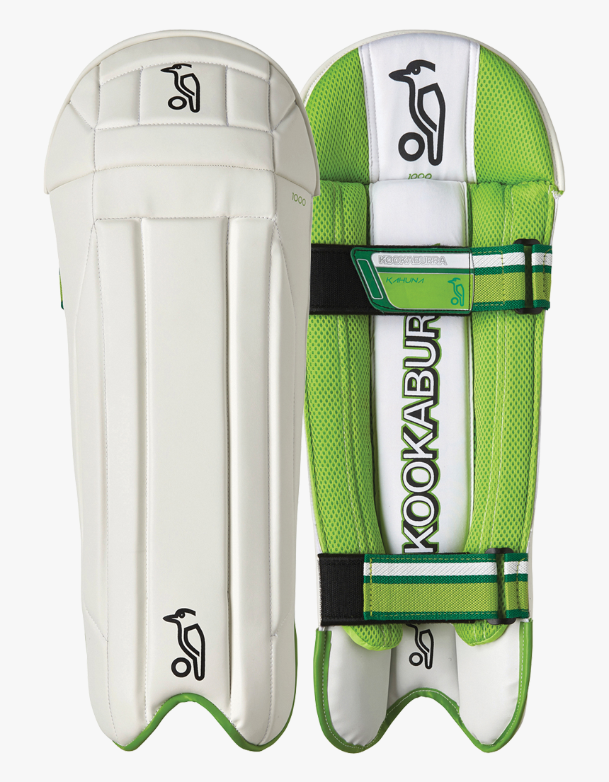 Cricket, HD Png Download