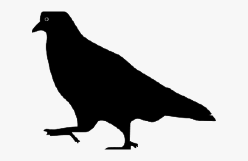 Pigeon Clipart Silhouette, HD Png Download