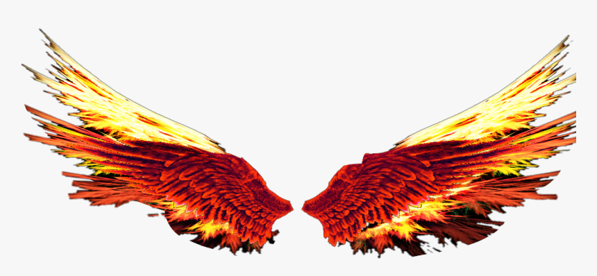 #fireball #redorange #firewings #fire - Illustration, HD Png Download