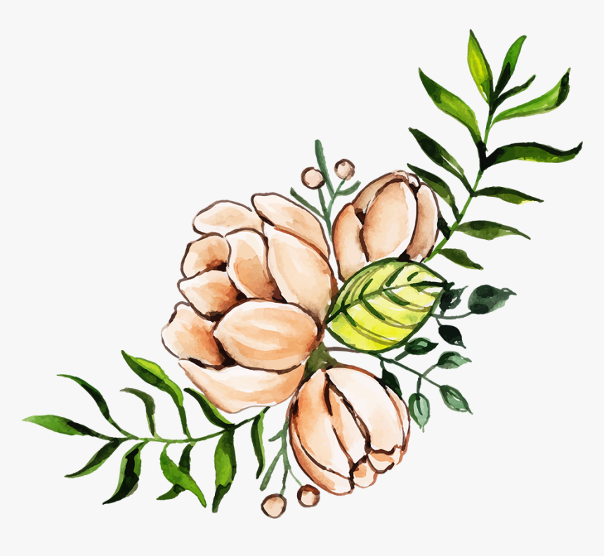 Rosa Glauca, HD Png Download