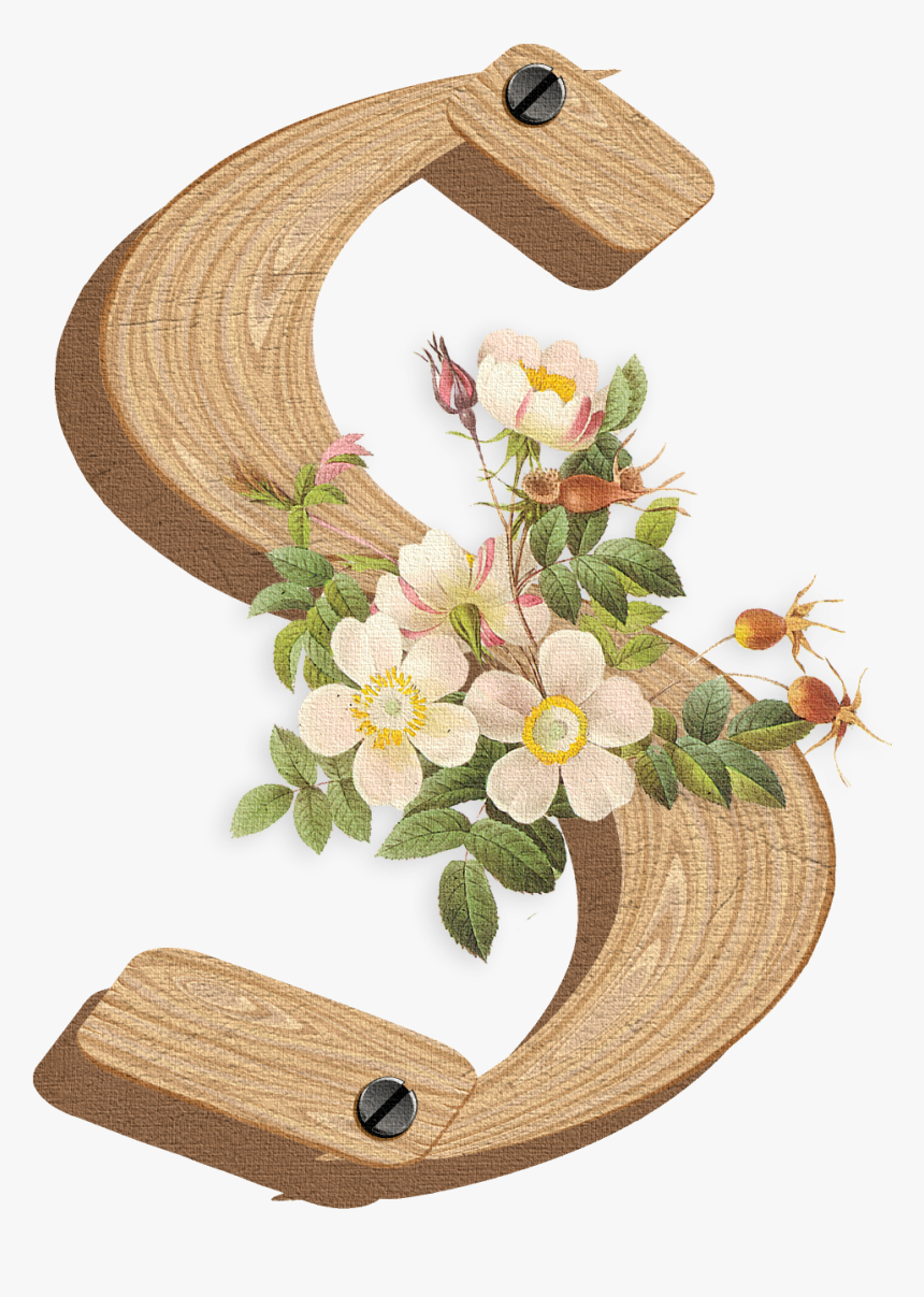 Alphabet, HD Png Download