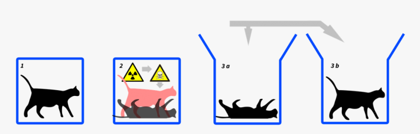 El Gato De Schrödinger - Schrodinger's Cat, HD Png Download